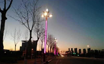 “華燈”點亮魅力山東煙臺