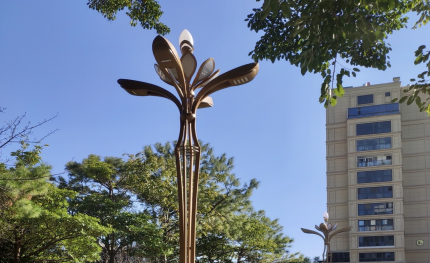 云南云縣|助力全域智慧停車(chē)