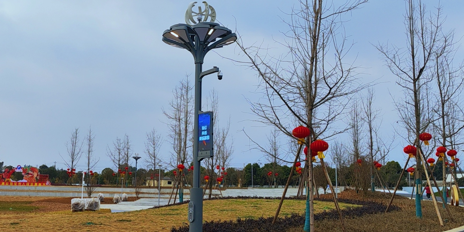 快來圍觀，種在綿竹市城北濕地公園的“智慧樹”亮燈啦